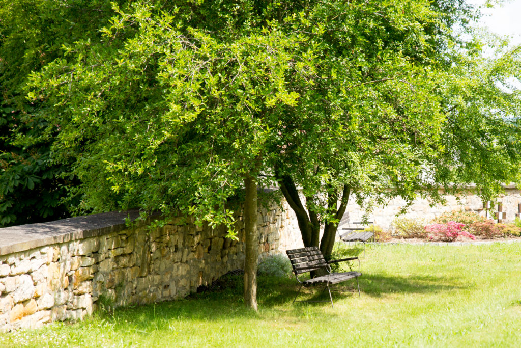 Friedhof Fö_8